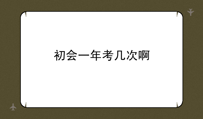 初会一年考几次啊