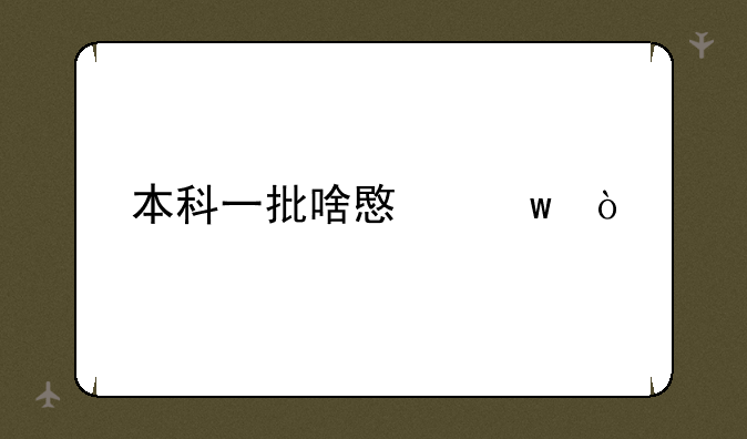 本科一批啥意思？