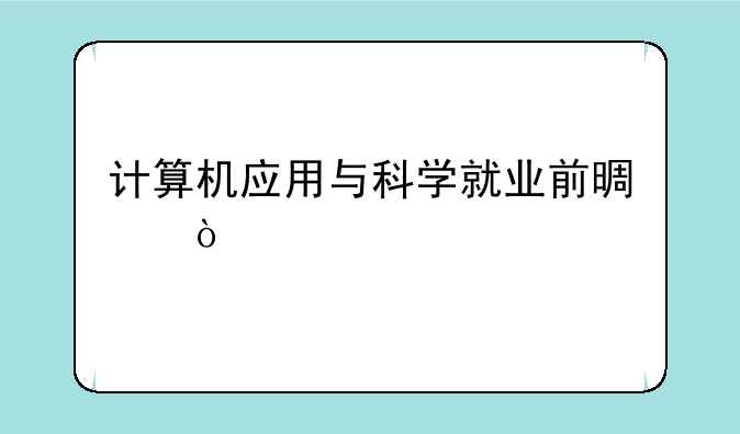 计算机应用与科学就业前景？