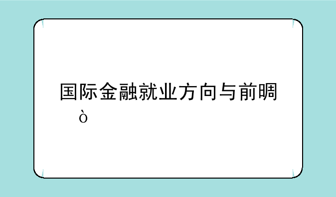 国际金融就业方向与前景？