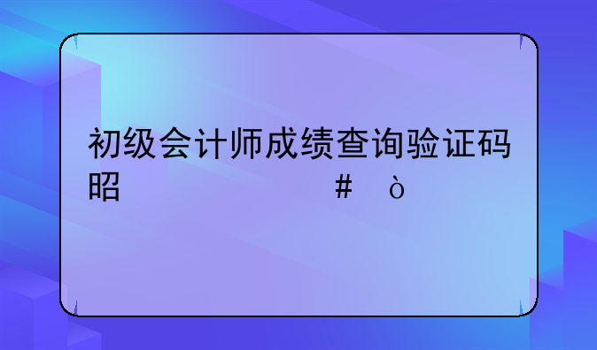 初级会计师成绩查询验证码是什么？