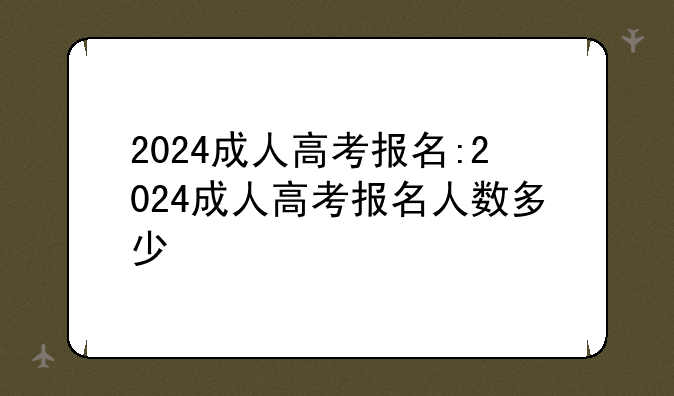 2024成人高考报名:2024成人高考报名人数多少